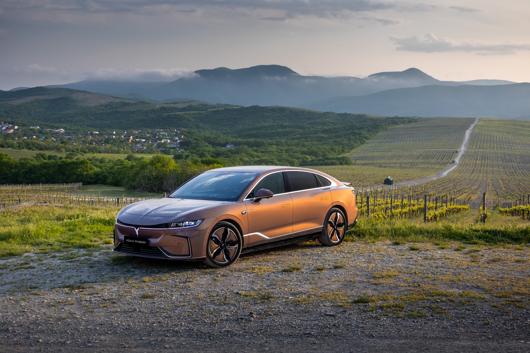 Купить шины для Voyah