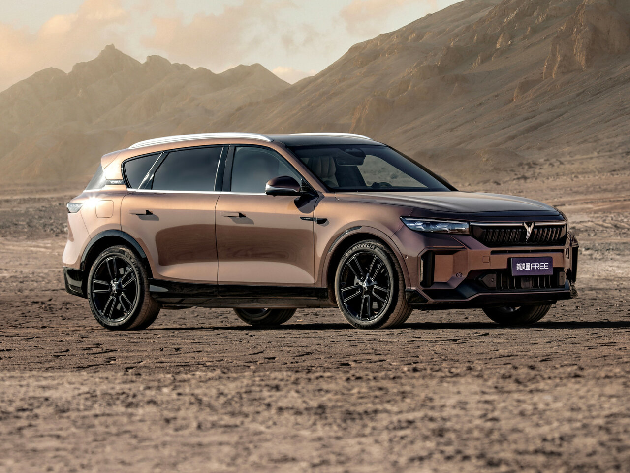 Шины для Voyah Free