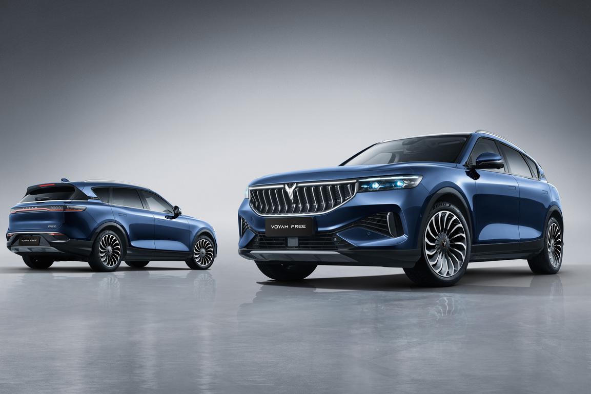 Купить шины для Voyah Free